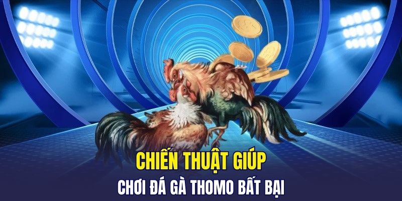 Chiến thuật giúp chơi đá gà Thomo bất bại